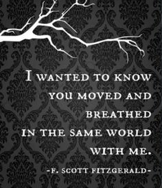 Scott Fitzgerald More
