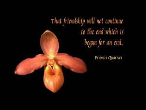 Friendship Quotes