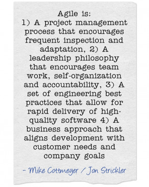 ... more on rapid delivery and reducing the risks of software development