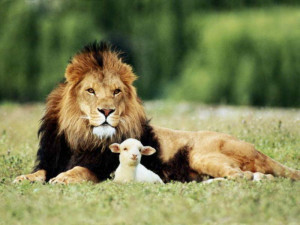 To Emulate the Lion and the Lamb