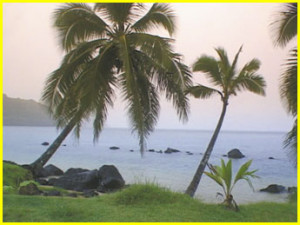 faith courage hope day 4 day 5 day 6