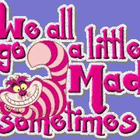 Browse Funny Quotes photos and videos.