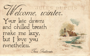 welcome winter quotes not an expert on winter