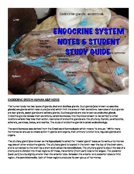 Human A&P Endocrine System Lecture notes and Student Study Guide