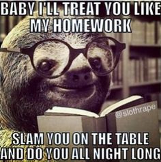 sloth pick up lines more pickup hilarious pick bad pick naughty sloths ...