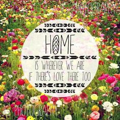 ... There's Love There Too (Jack Johnson, lyrics, quote) JG Photography