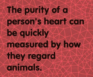 The Purity Of A Person's Heart