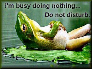 busy doing nothing... Do not disturb. tjn