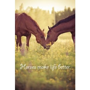 ... .com | See more about horse quotes, equestrian and cowgirl quote