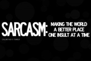 insult, photography, quotes, sarcasm, teen, world