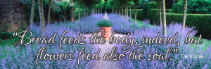 ... feeds-the-body-indeed-but-flowers-feed-also-the-soul-flower-quote.jpg