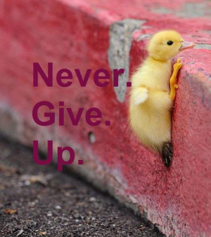 Never Give Up.