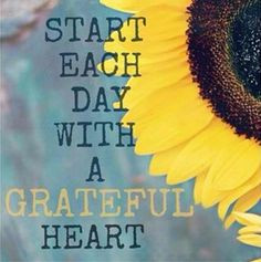 What Quote Do You Aspire To Live By? #foodmatters #quote # ...