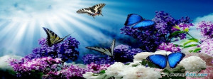 Garden of Butterflies Facebook Timeline Cover