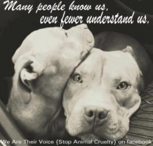 Pitbulls deserve better.