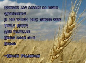Nobody lay awake at night wondering if the wheat they raised was truly ...