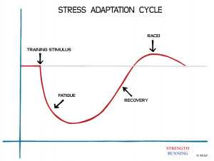 stress adaptation cycle a graph demonstrating the stress adaptation ...