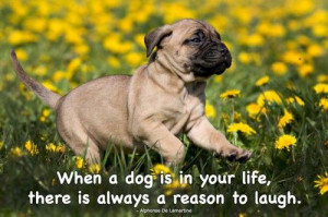 When a dog is in your life, there is always a reason to laugh ...