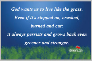 God Wants Live Like The Grass