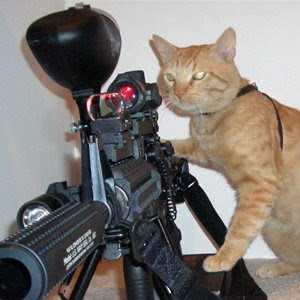 Funny Pictures Animals With Guns Definition