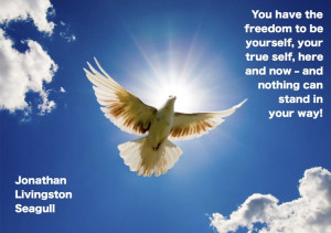 Jonathan Livingston Seagull.Life Quotes, Fly High, Jonathan Livingston ...