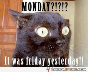 Funny Animal Monday Quotes