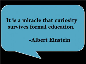 Albert Einstein quote...so true- we need to foster more choice ...