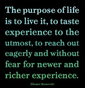 Experience Life.