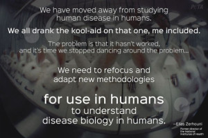 Reasons Why Animal Testing Doesn’t Help Humans
