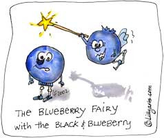 Here we have two cartoon blueberrries. One, of course is the blueberry ...
