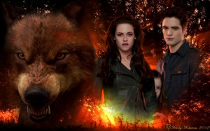 Jacob Protects Renesmee - Bella & Edward ♥ - Twilight Series ...