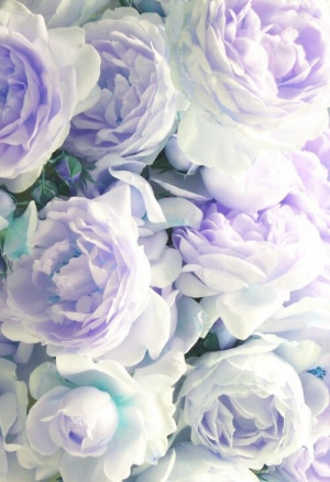 ... purple, quote, relationships, spring, summer, tumblr, wallpaper