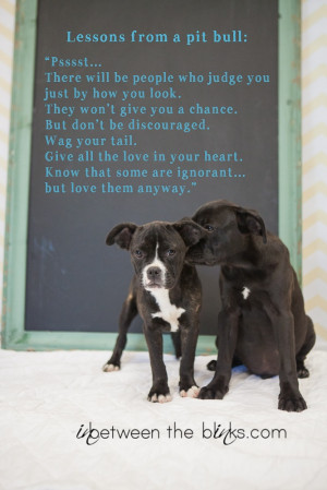 Lessons from a #pitbull. I want this quote framed for Jacky.