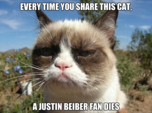 grumpy cat, funny pictures