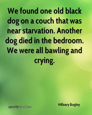 We Found One Old Black Dog On A Couch That Was Near Starvation.