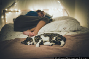 37 Science-Backed Tips For Better Sleep Tonight