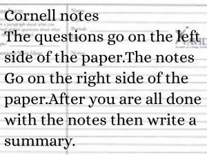 Back Side of Cornell Note Paper Avid