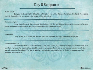 Perspective Day 8 Bible Reading Plan for Women (14 day ) - Offe