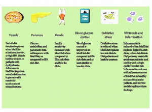 resep makanan sehat untuk diabetes nick jonas diabetes youtube right