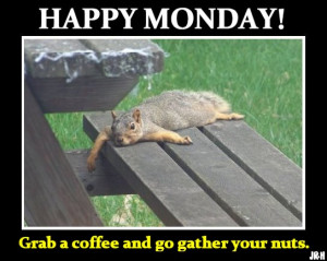 Happy Monday Coffee Squirrel: Grab a coffee and go gather your nuts.