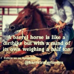 Horse Barrel Racing Quotes