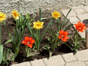 friday movie quotes mr jones