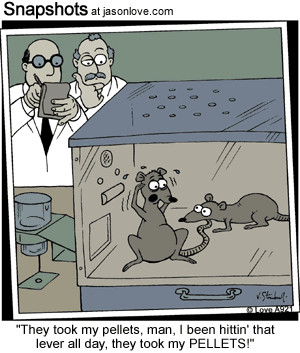 Lab Rats Cartoons Cartoon