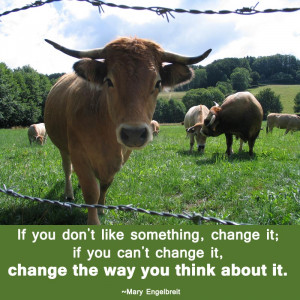 ... this Happy Tuesday Wishes Motivational Inspirational Quotes picture