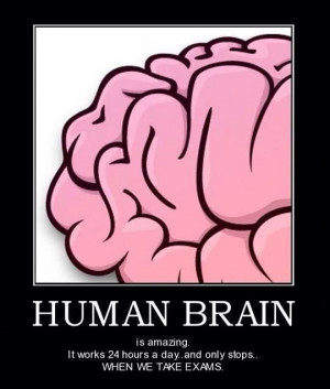 Human brain is amazing