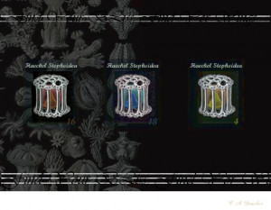 Big Questions of Life (Postcard Art)