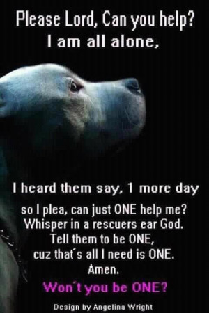 ... Pitbull Puppies, Pit Bull Dogs Quotes, Rescue Dogs, Shelter Dogs