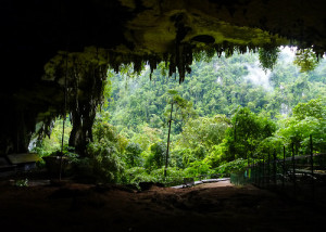 landscape trees travel forest cave tropical Asia rainforest jungle ...
