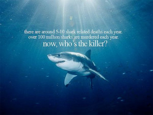 Save The Sharks - Stop Shark Finning