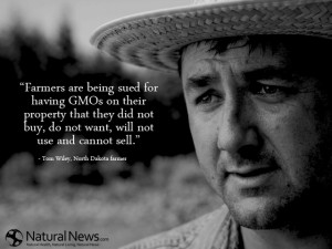 Quotes About Gmos ~ Farmers are being sued for having GMOs on their ...